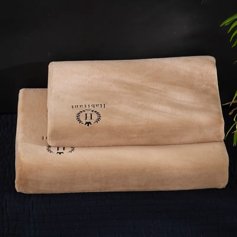 H-Pattern Embroidered Milk Velvet Latex Pillowcase