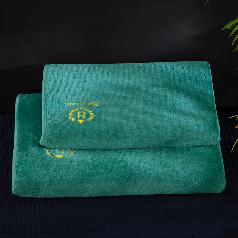 H-Pattern Embroidered Milk Velvet Latex Pillowcase